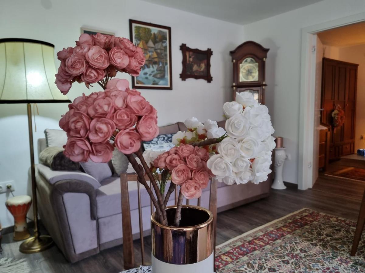 Apartment Blaoss Karlovac Extérieur photo